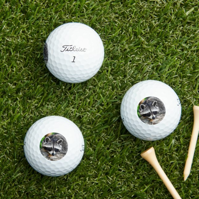 Raccoon 003 golfball (Insitu Gras)
