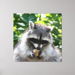 Raccoon 004 leinwanddruck