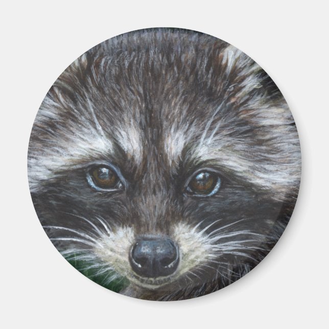Raccoon #3 magnet (Vorne)