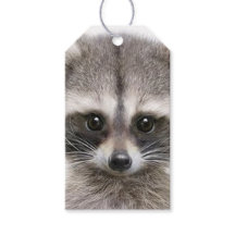 Raccoon-Abbildung auf dem Gift-Tag