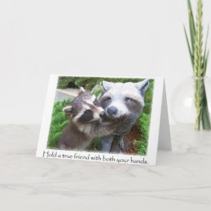 Raccoon amis carte pour notes