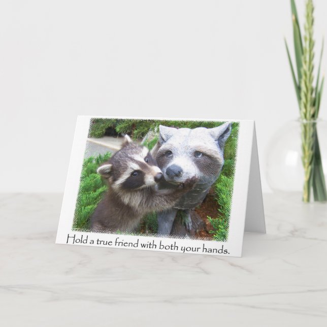 Raccoon amis carte pour notes (Devant)