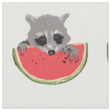Raccoon aß Wassermelone