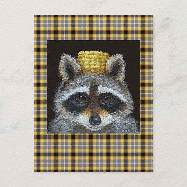 Raccoon auf der karierten Postkarte (Vorderseite)