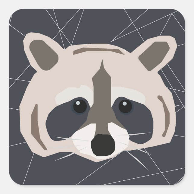 Raccoon Aufkleber (Vorderseite)