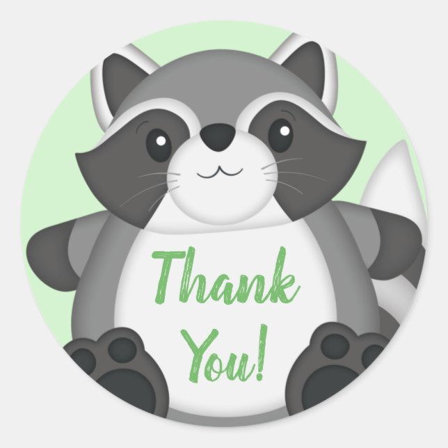 Raccoon Baby Showwoodland Runder Aufkleber (Vorderseite)