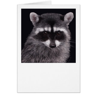 Raccoon Card "Hooligan"