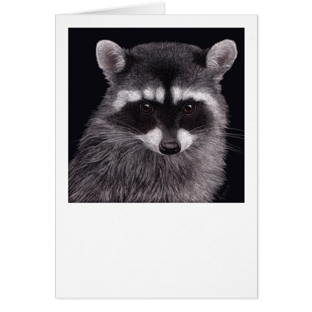 Raccoon Card "Hooligan" (Vorne)