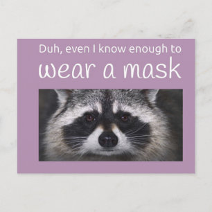 Raccoon Covid fragte für die Maske von Funnycomb Postkarte