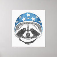 Raccoon Daredevil