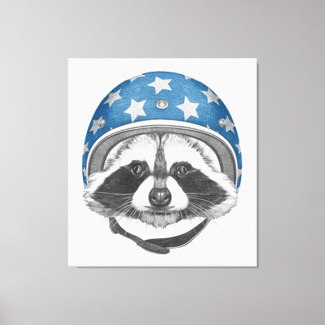Raccoon Daredevil Leinwanddruck (Vorderseite)
