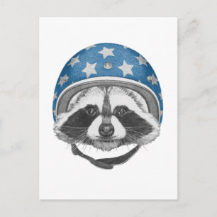 Raccoon Daredevil Postkarte
