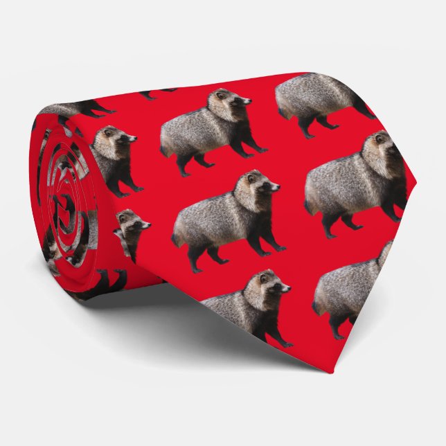 Raccoon dog krawatte (Gerollt)