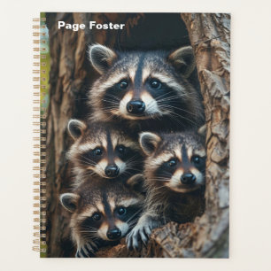 Raccoon-Familie Planer
