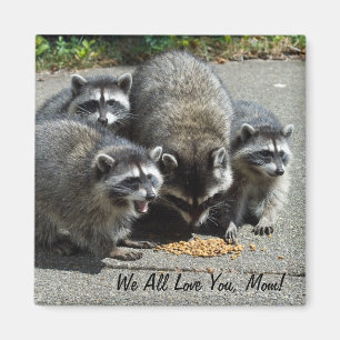 Raccoon-Familien-Mama-Magnet Magnet