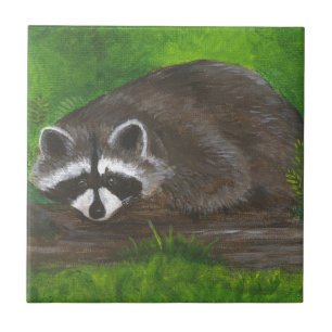 Raccoon Fliese