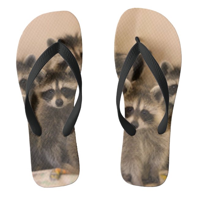 Raccoon flip Flops. Flip Flops (Fußbett)
