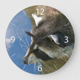 Raccoon Große Wanduhr