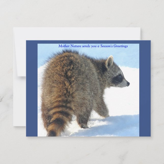 Raccoon im Urlaubssschnee Feiertagskarte (Vorderseite)