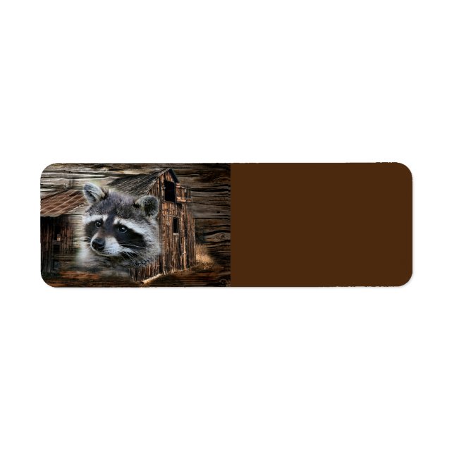 Raccoon in der alten Scheune (Vorne)