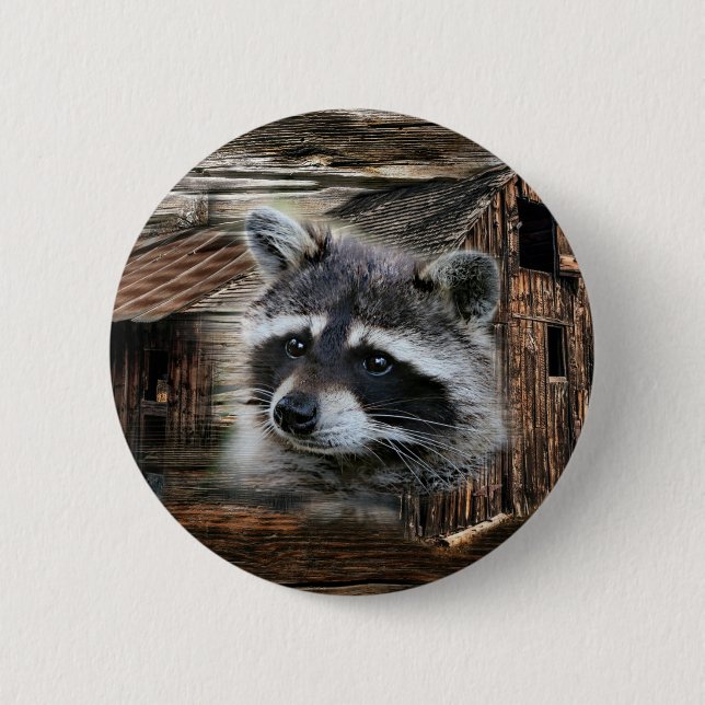 Raccoon in der alten Scheune Button (Vorderseite)