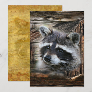 Raccoon in der alten Scheune Einladung