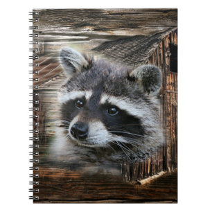 Raccoon in der alten Scheune Notizblock