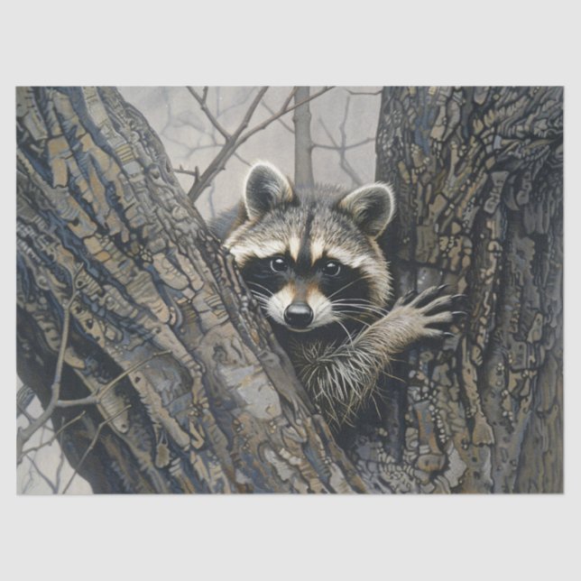 Raccoon in einer Baumfarbe Seidenpapier (Vorderseite)