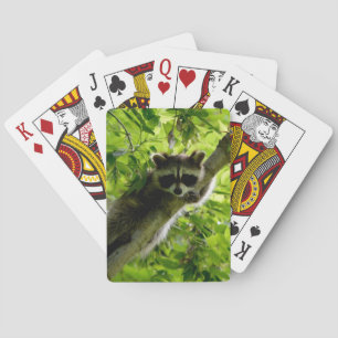 Raccoon in Green Tree Niedlich grau maskierte Marm Spielkarten