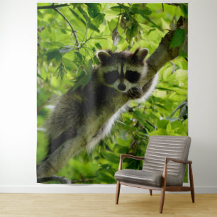 Raccoon in Green Tree Niedlich grau maskierte Marm Wandteppich