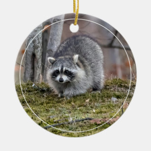 Raccoon Keramik Ornament