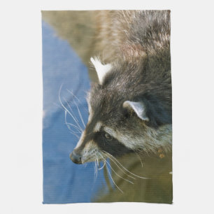 Raccoon Küchentuch