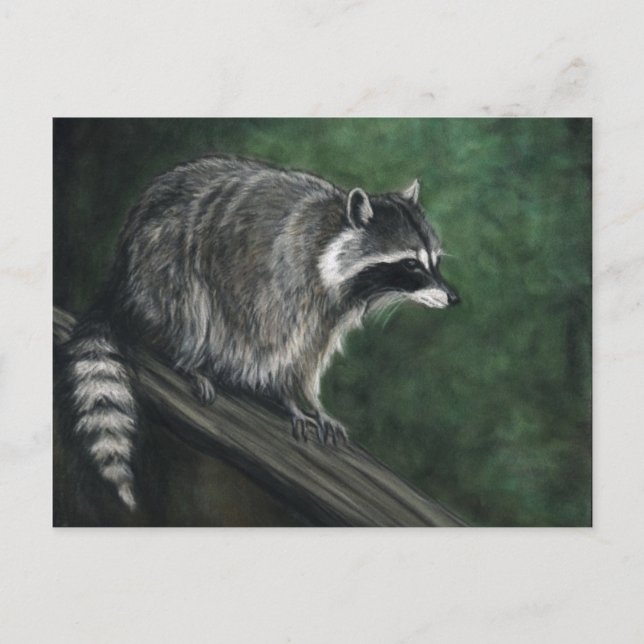 "Raccoon" Kunst, Dichtung und Musik Postkarte (Vorderseite)