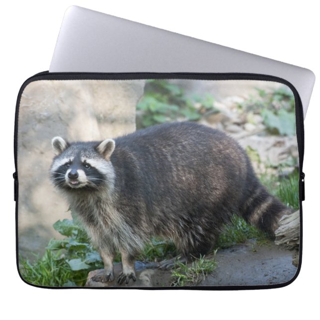 Raccoon Laptopschutzhülle (Vorderseite)