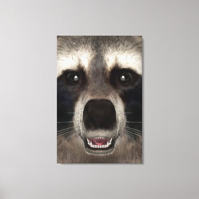 Raccoon Leinwanddruck (Vorderseite)
