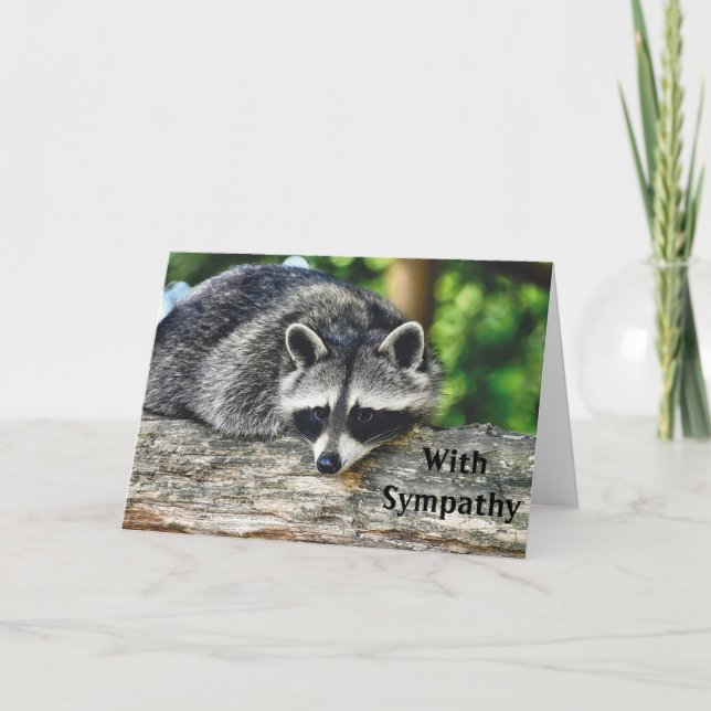 Raccoon Log Mammal Foto Beileid Karte (Vorderseite)