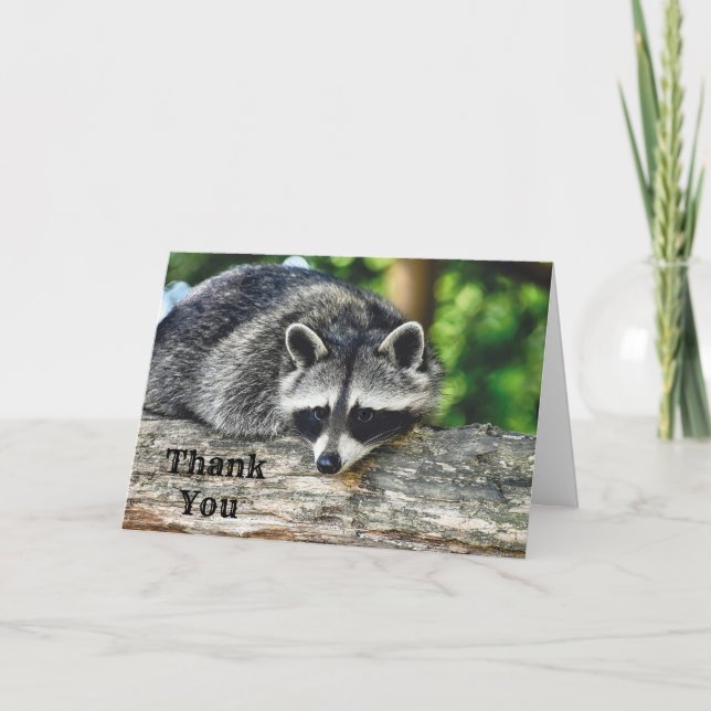 Raccoon Log Mammal Foto Dankeskarte (Vorderseite)