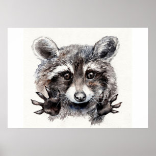 Raccoon Lover Lovely Baby Raccoon Poster