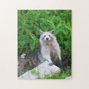 Raccoon Lovers Wildlife Puzzle