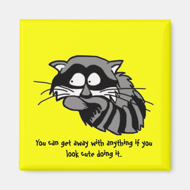 Raccoon Magnet (Vorne)