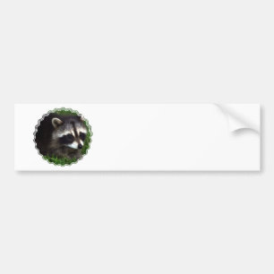 Raccoon-Masken-Autoaufkleber Autoaufkleber