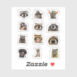 Raccoon Meme Funny Sticker Set Bundle