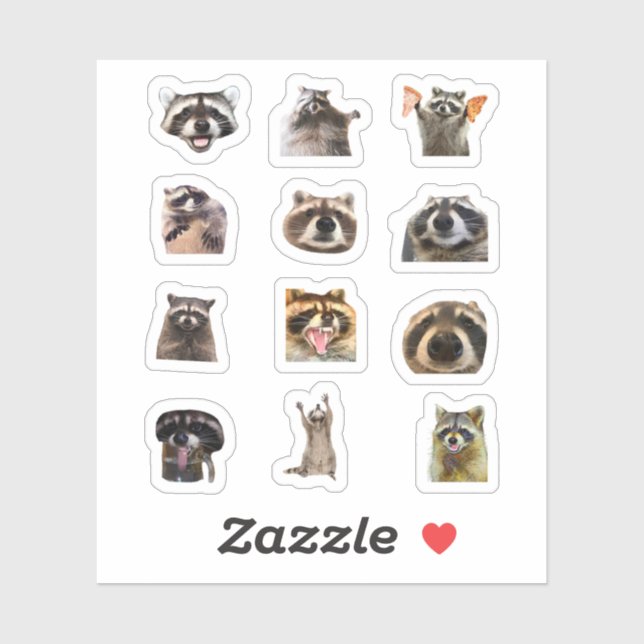 Raccoon Meme Funny Sticker Set Bundle (Feuille)