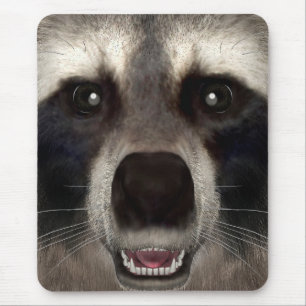 Raccoon Mousepad