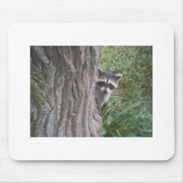 Raccoon Mousepad