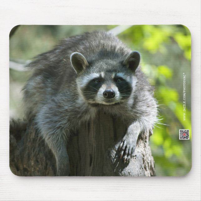 Raccoon Mousepad (Vorne)