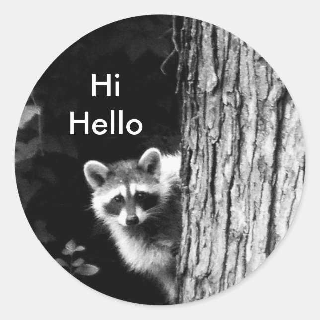 Raccoon noir et blanc dans l'arbre Sticker de la f (Devant)