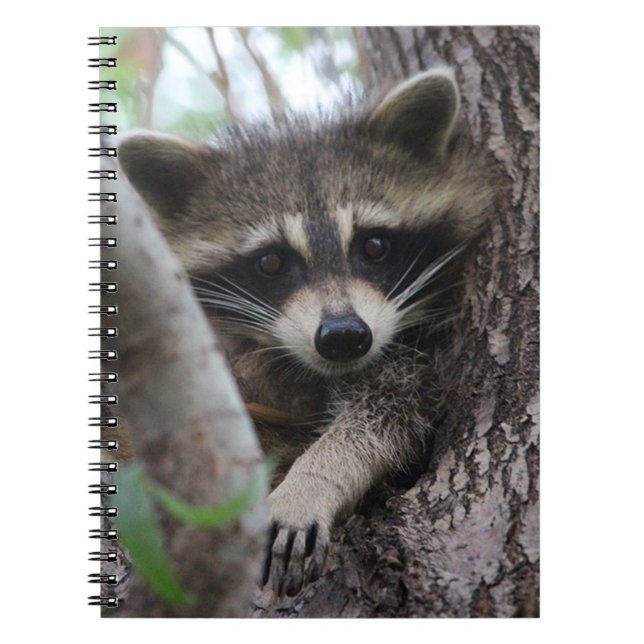 Raccoon Notizblock (Vorderseite)