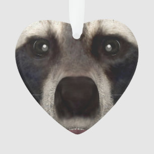 Raccoon Ornament