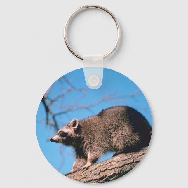 Raccoon Perched Schlüsselanhänger (Vorderseite)